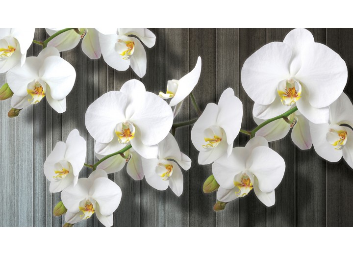 Fotobehang Vlies | Orchideeën, Bloem | Wit | 254x184cm