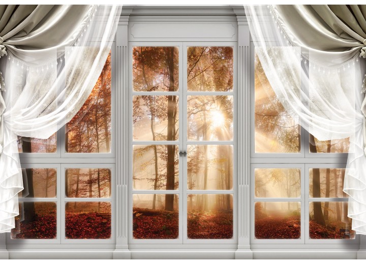 Fotobehang 3D Door View Autumn Forest