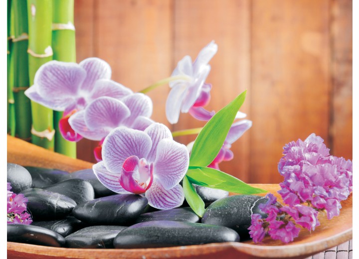 Fotobehang Vlies | Bloemen, Orchidee | Paars | 254x184cm