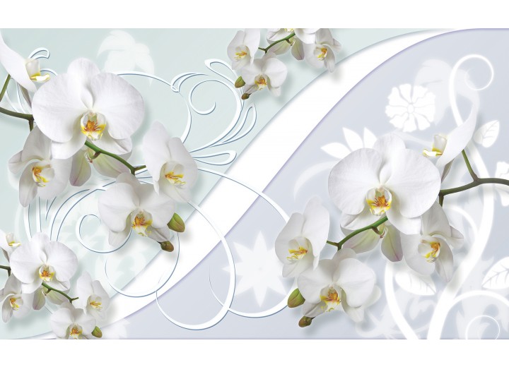 Fotobehang Vlies | Orchidee, Bloemen | Wit | 254x184cm