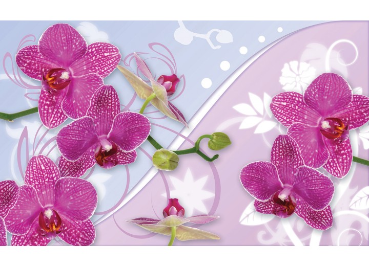 Fotobehang Vlies | Orchideeën, Bloemen | Roze | 254x184cm