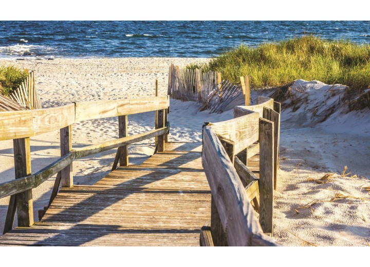 Fotobehang Vlies | Strand | Geel | 254x184cm