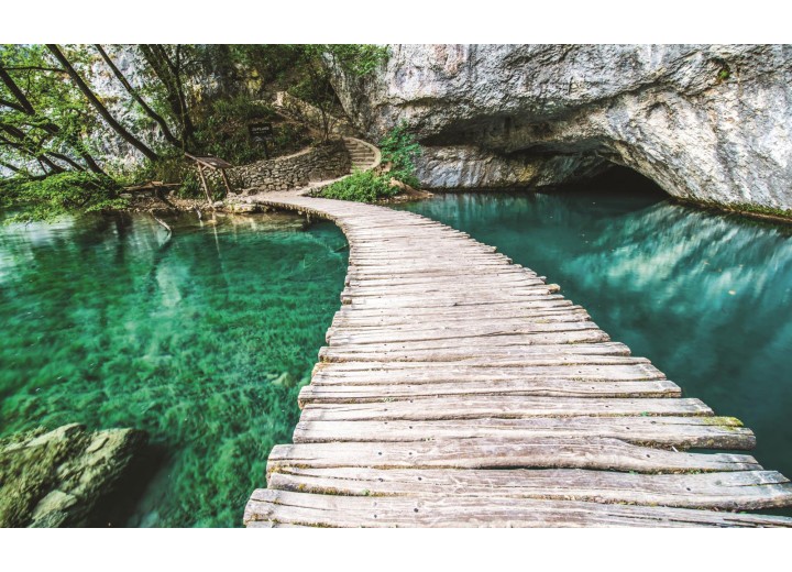 Fotobehang Vlies | Natuur | Groen | 254x184cm