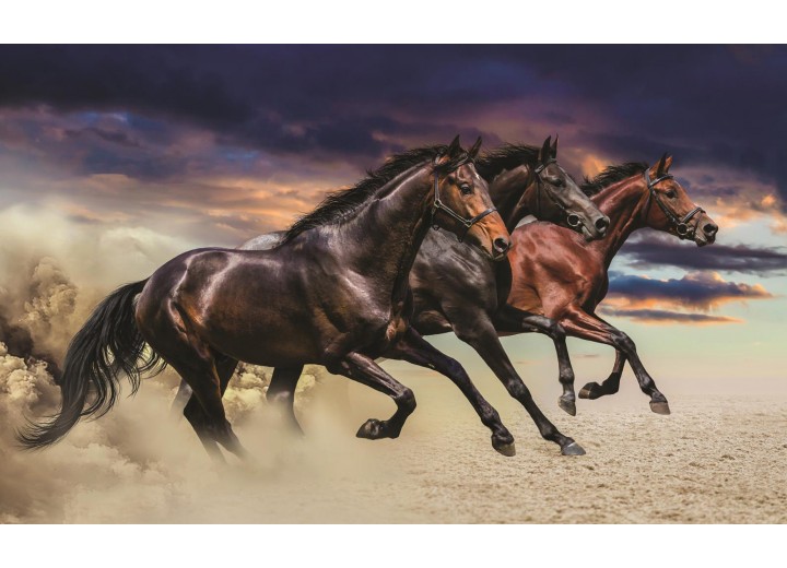 Fotobehang Vlies | Paarden | Bruin | 254x184cm