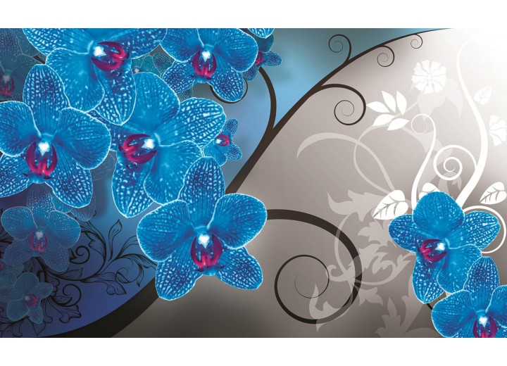 Fotobehang Vlies | Bloemen, Orchidee | Blauw, Grijs | 254x184cm