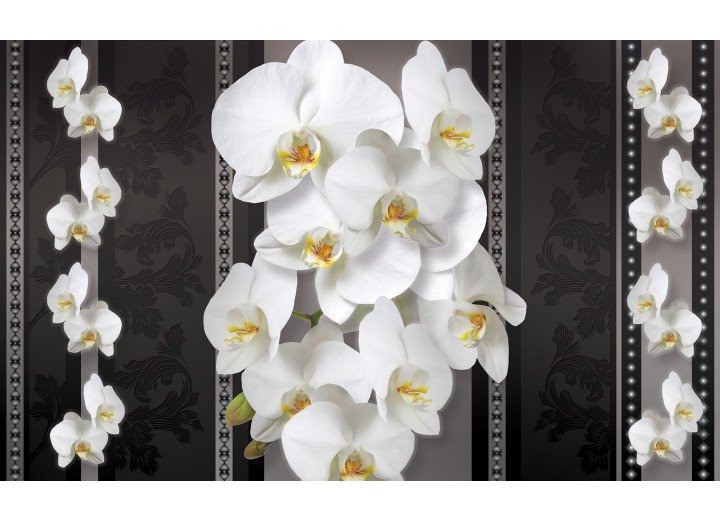 Fotobehang Vlies | Bloemen, Orchideeën | Zwart, Wit | 254x184cm