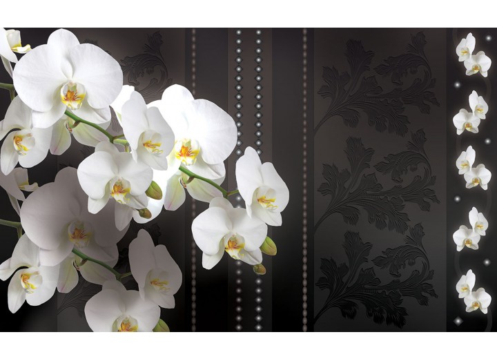 Fotobehang Vlies | Bloemen, Orchideeën | Wit | 254x184cm