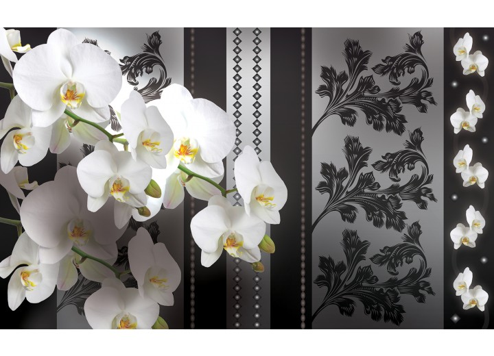 Fotobehang Vlies | Bloemen, Orchideeën | Grijs | 254x184cm