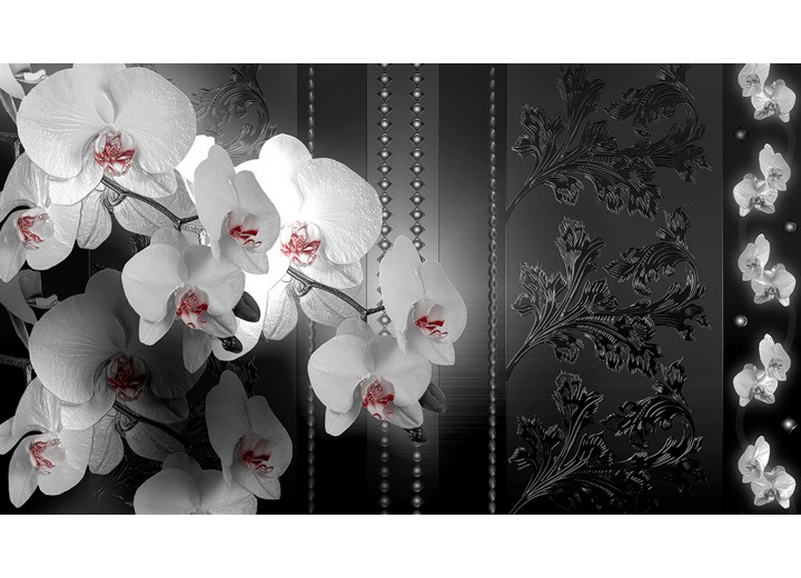 Fotobehang Vlies | Bloemen, Orchidee | Zwart | 254x184cm