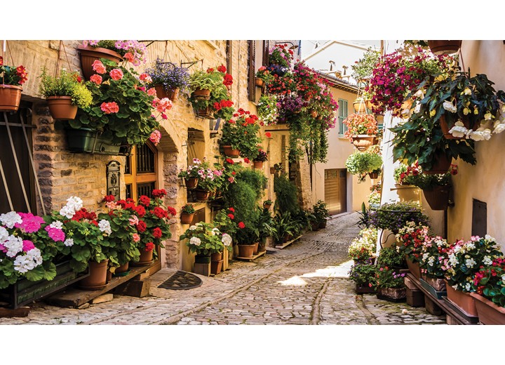 Fotobehang Vlies | Bloemen | Groen | 254x184cm