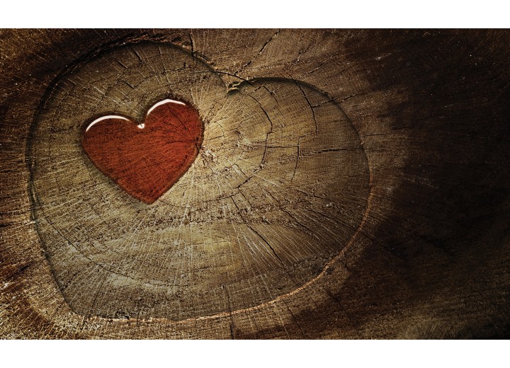 Fotobehang Vlies | Boom, Hart | Bruin | 254x184cm