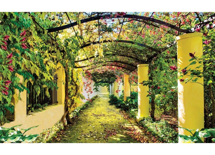 Fotobehang Vlies | Natuur | Geel, Groen | 254x184cm