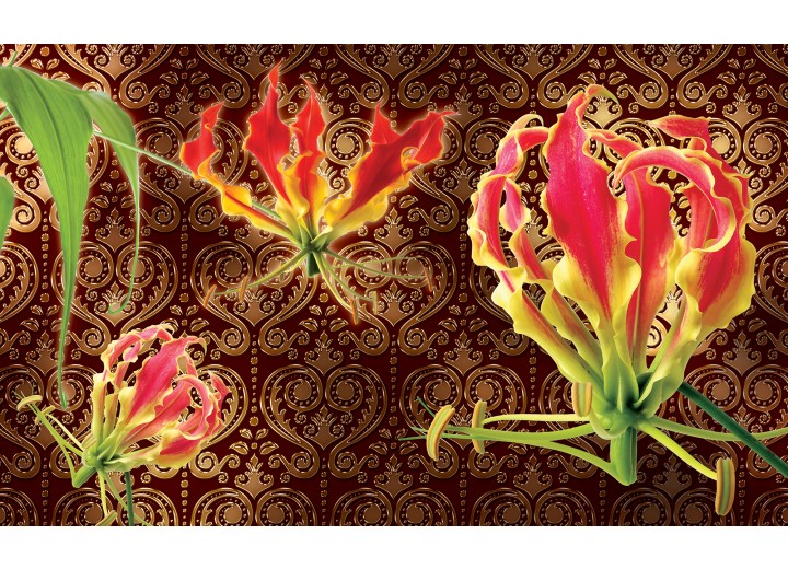 Fotobehang Vlies | Bloemen | Bruin | 254x184cm
