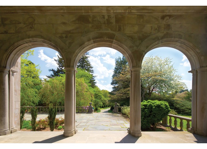 Fotobehang Vlies | Natuur | Groen, Blauw | 254x184cm