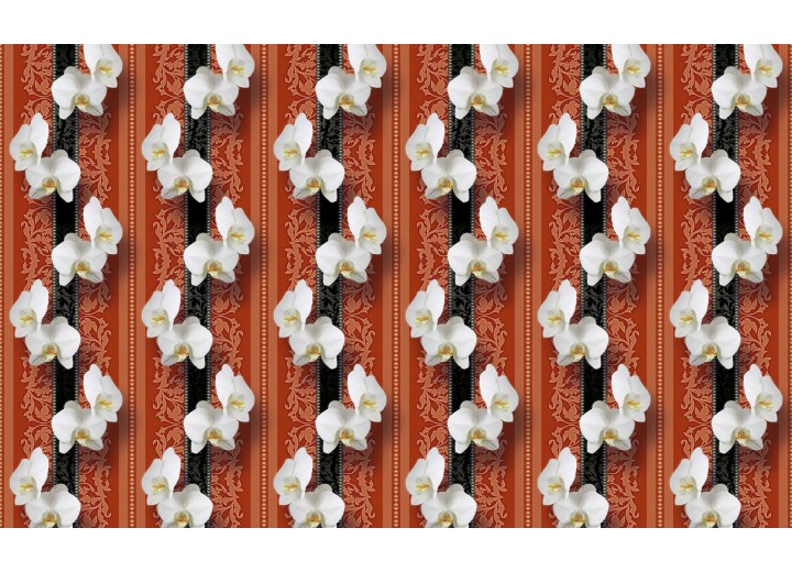Fotobehang Vlies | Bloemen, Orchidee | Wit | 254x184cm