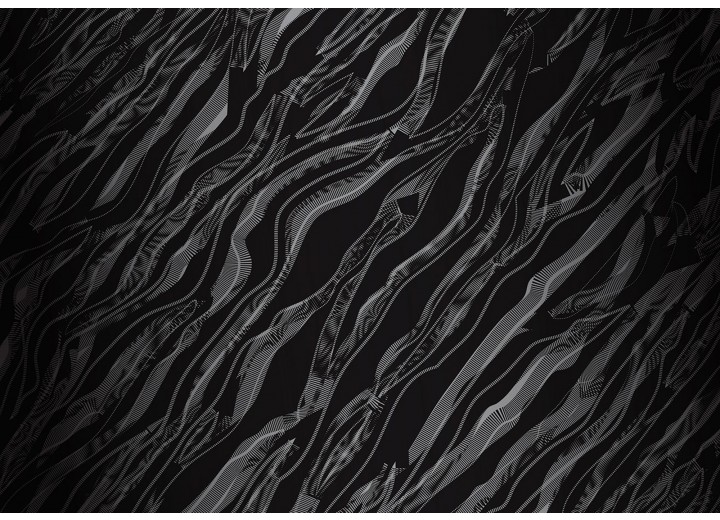 Fotobehang Vlies | Abstract | Zwart | 254x184cm