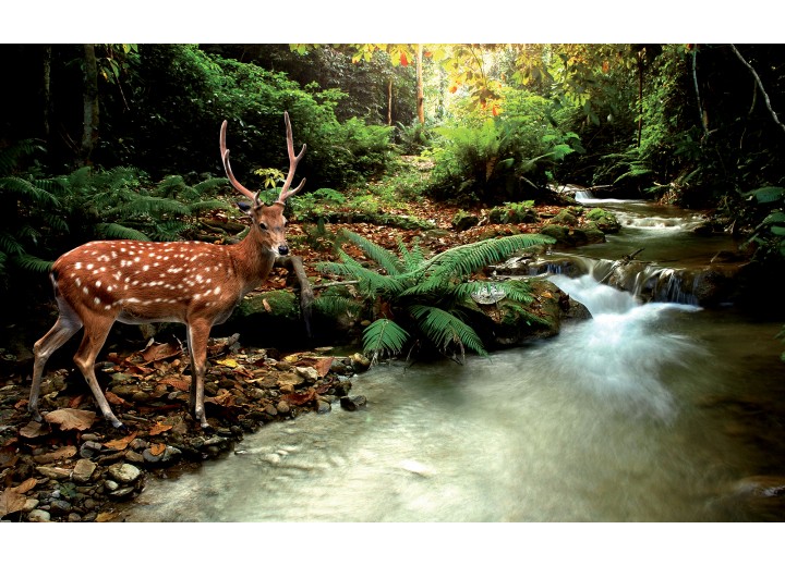 Fotobehang Vlies | Bos, Natuur | Bruin, Groen | 254x184cm