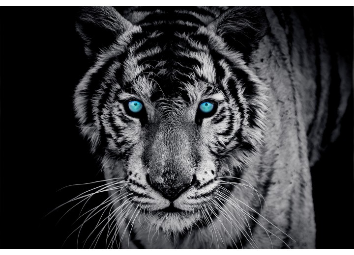 Fotobehang Vlies | Wilde Dieren | Blauw | 254x184cm