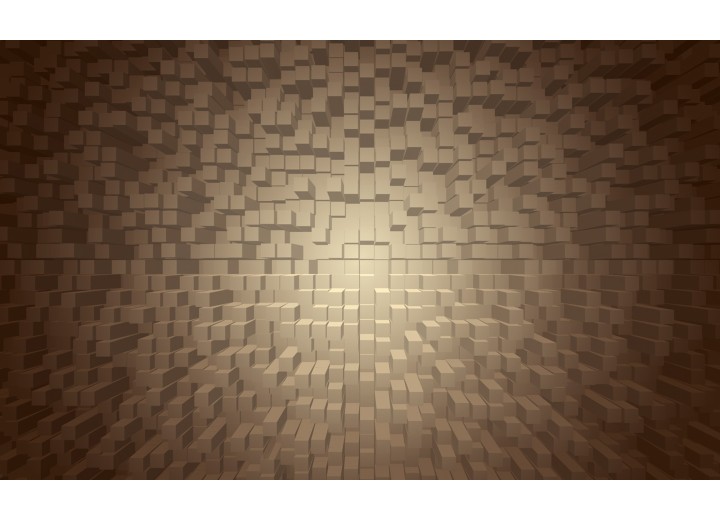 Fotobehang Vlies | 3D | Grijs, Bruin | 254x184cm