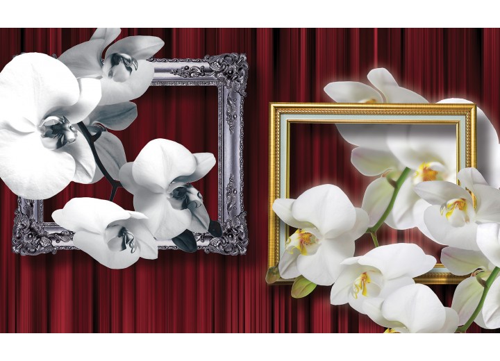 Fotobehang Vlies | Bloemen, Orchidee | Wit | 254x184cm