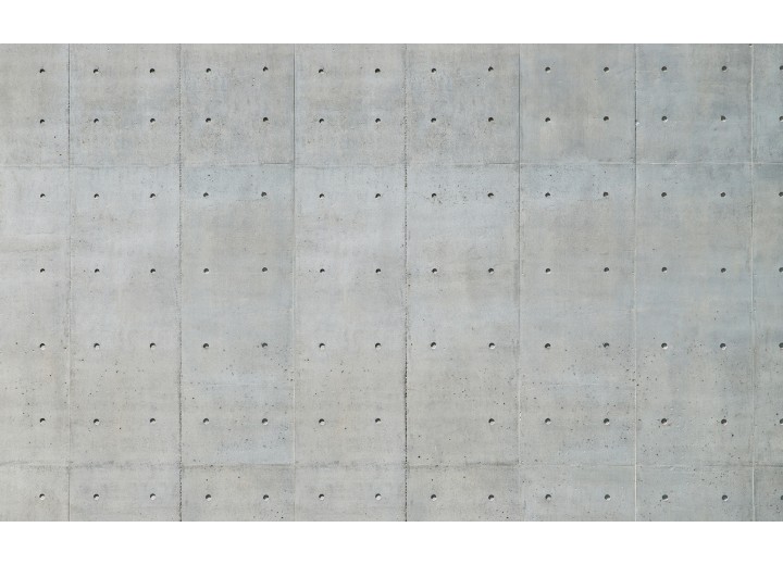 Fotobehang Vlies | Betonlook | Grijs | 254x184cm