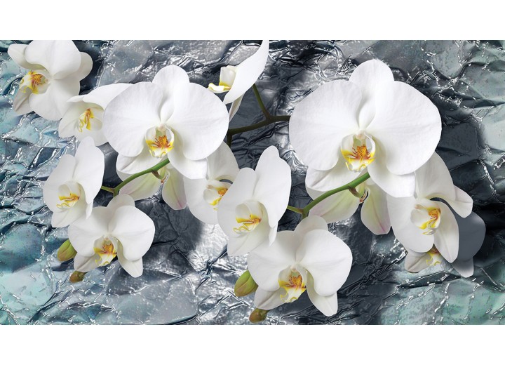 Fotobehang Vlies | Orchidee, Bloemen | Wit | 254x184cm