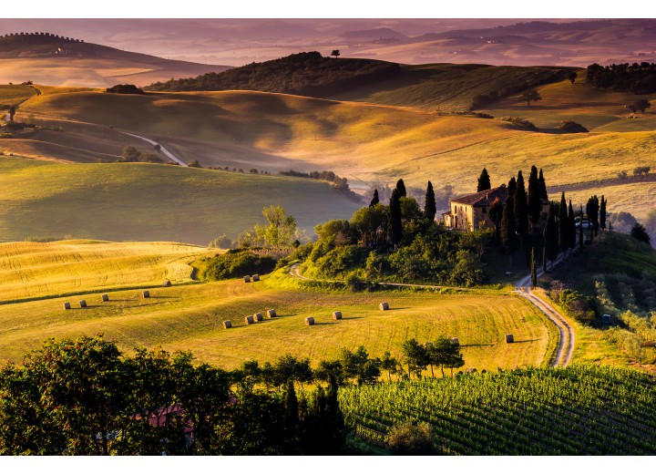 Fotobehang Vlies | Natuur | Groen, Geel | 254x184cm