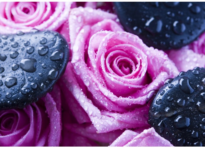 Fotobehang Vlies | Bloemen, Roos | Roze | 254x184cm