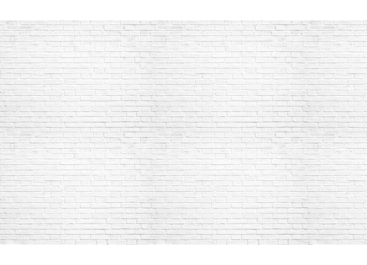 Fotobehang Vlies | Muur, Bakstenen | Wit | 254x184cm