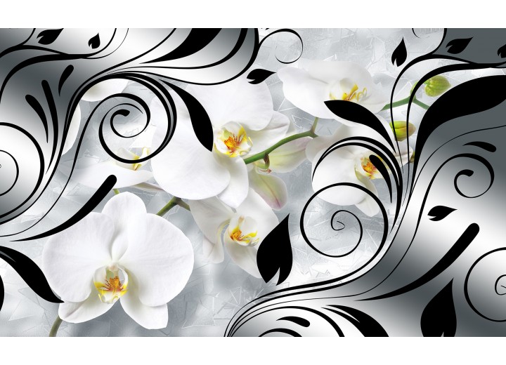 Fotobehang Vlies | Orchidee, Bloem | Wit | 254x184cm