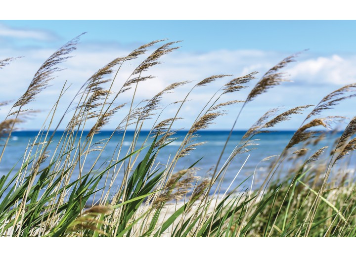 Fotobehang Vlies | Strand, Zee | Blauw | 254x184cm