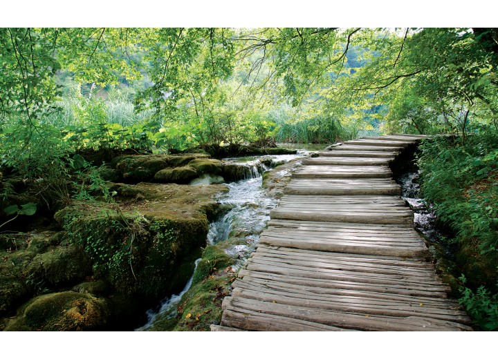 Fotobehang Vlies | Natuur | Groen | 254x184cm