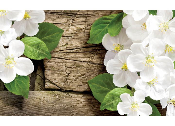 Fotobehang Vlies | Hout, Bloemen | Wit, Groen | 254x184cm