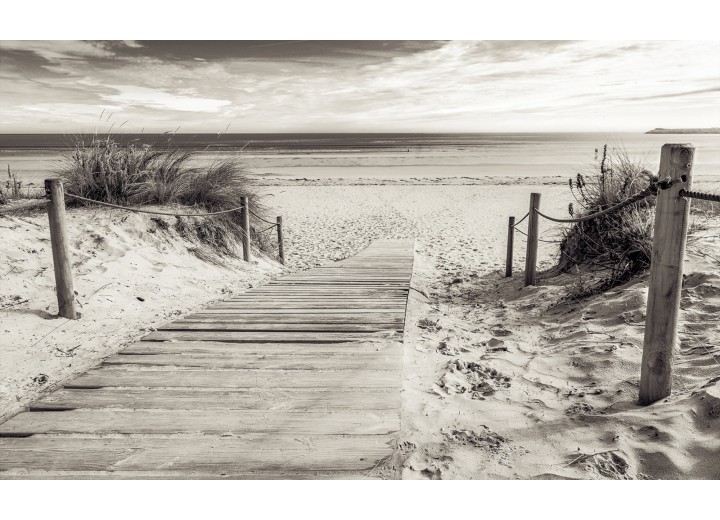 Fotobehang Vlies | Strand | Grijs | 254x184cm