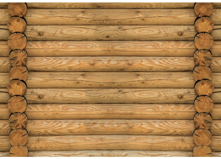 Fotobehang Vlies | Hout | Bruin | 254x184cm