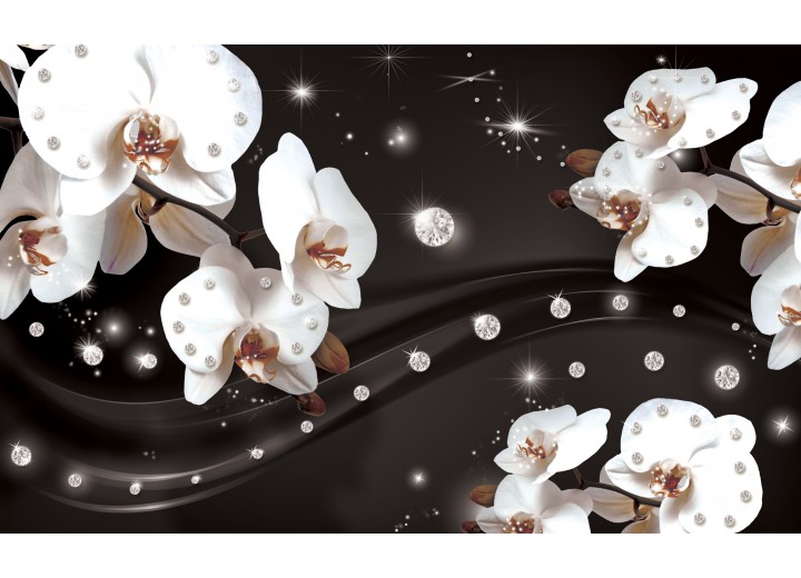Fotobehang Vlies | Orchideeën, Bloemen | Wit | 254x184cm