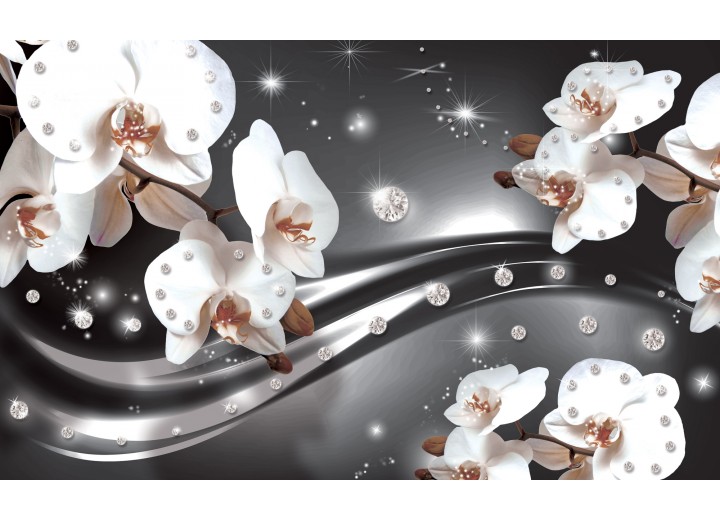 Fotobehang Vlies | Orchideeën, Bloemen | Zilver | 254x184cm