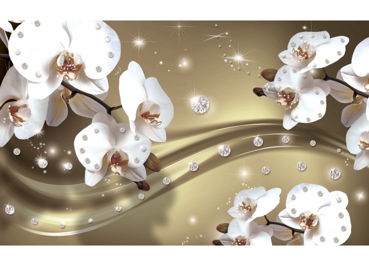 Fotobehang Vlies | Orchideeën, Bloemen | Wit | 254x184cm