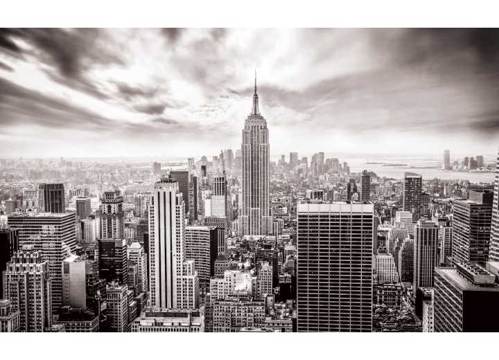 Fotobehang Vlies | Skyline, Stad | Grijs | 254x184cm