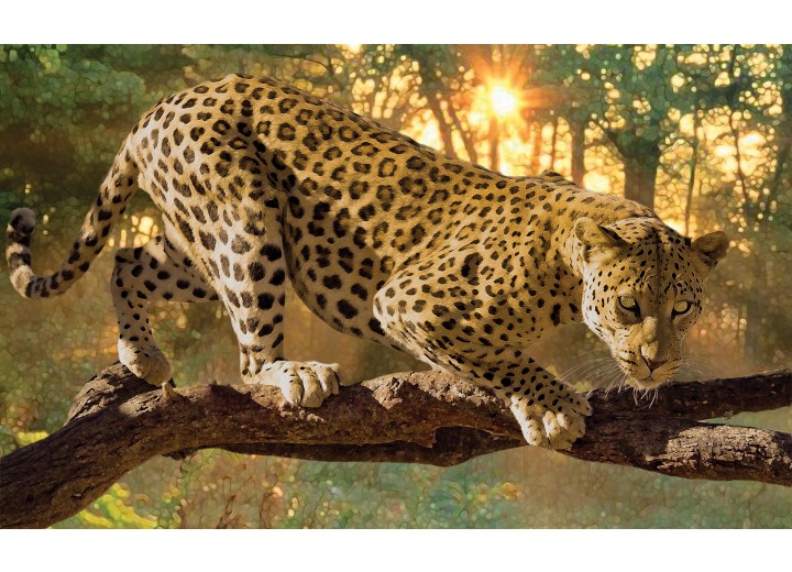 Fotobehang Vlies | Jaguar, Dieren | Geel | 254x184cm