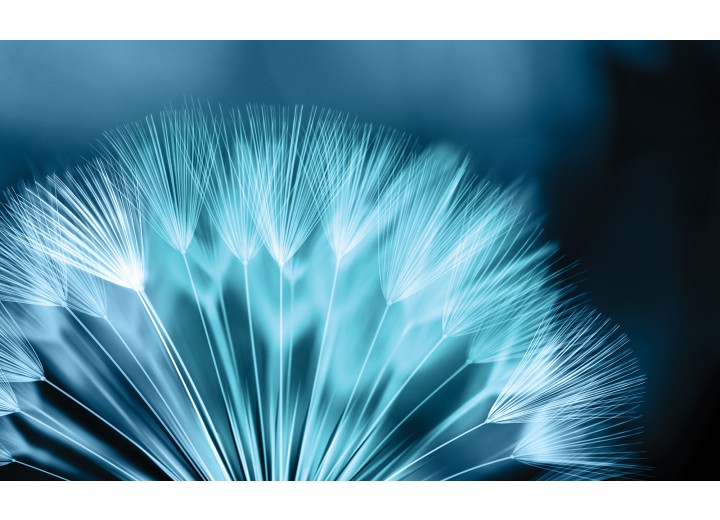 Fotobehang Vlies | Bloemen | Blauw | 254x184cm