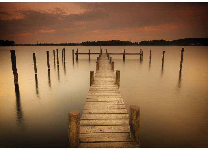 Fotobehang Vlies | Brug, Natuur | Bruin | 254x184cm