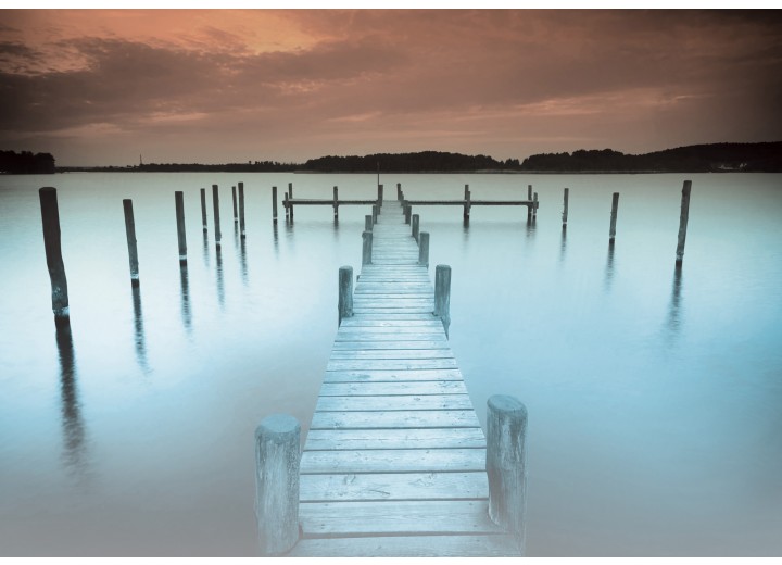 Fotobehang Vlies | Brug, Natuur | Blauw | 254x184cm