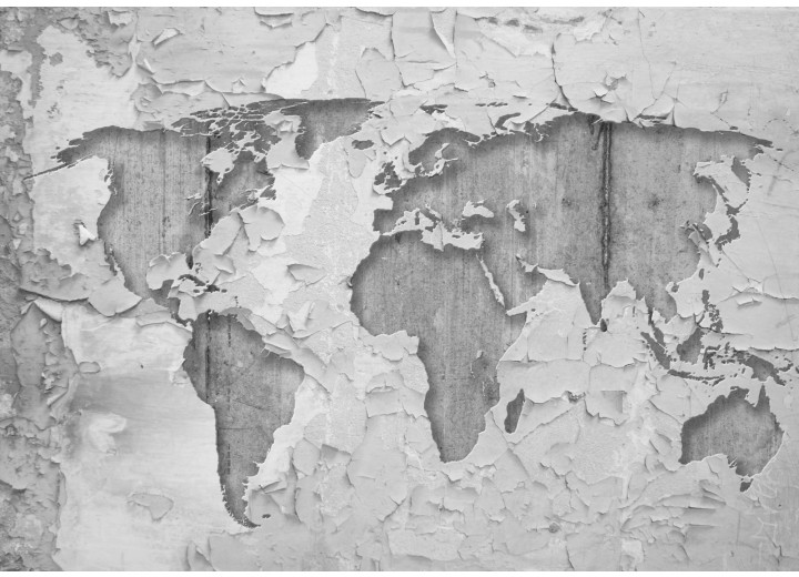 Fotobehang Vlies | Wereldkaart, Muur | Grijs | 254x184cm