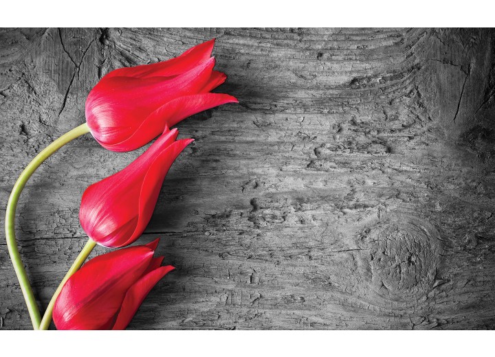 Fotobehang Vlies | Bloemen, Tulp | Rood | 254x184cm