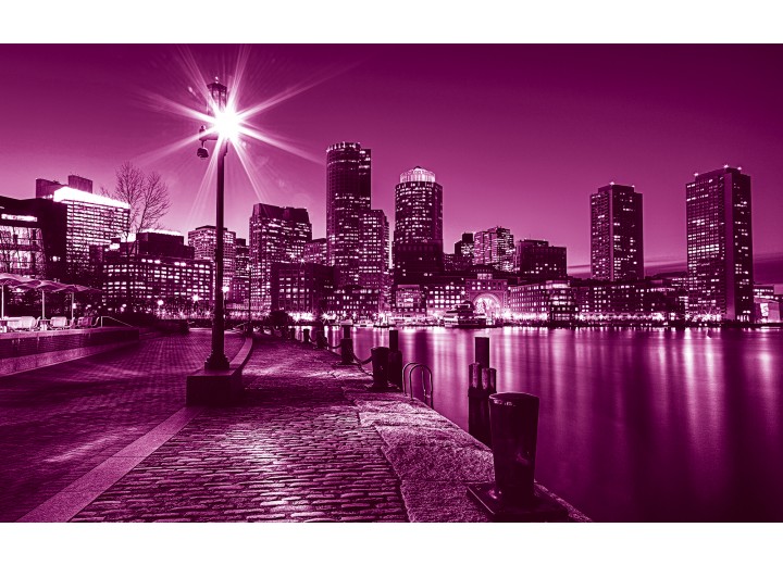 Fotobehang Vlies | Skyline | Roze, Paars | 254x184cm
