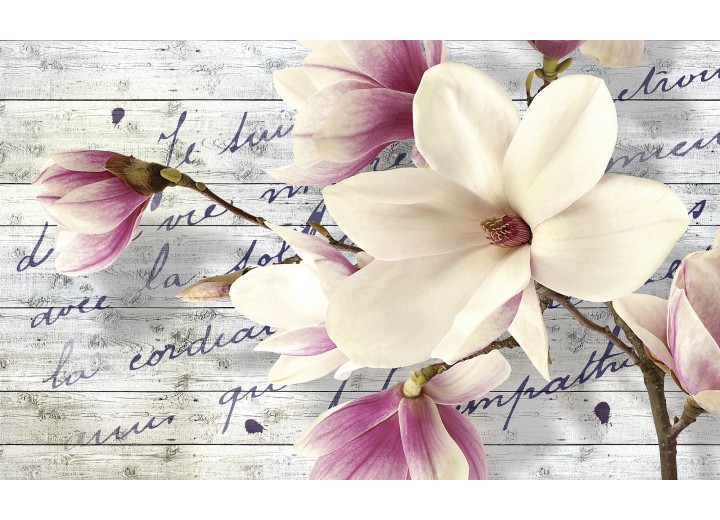 Fotobehang Vlies | Bloemen, Magnolia | Crème | 254x184cm