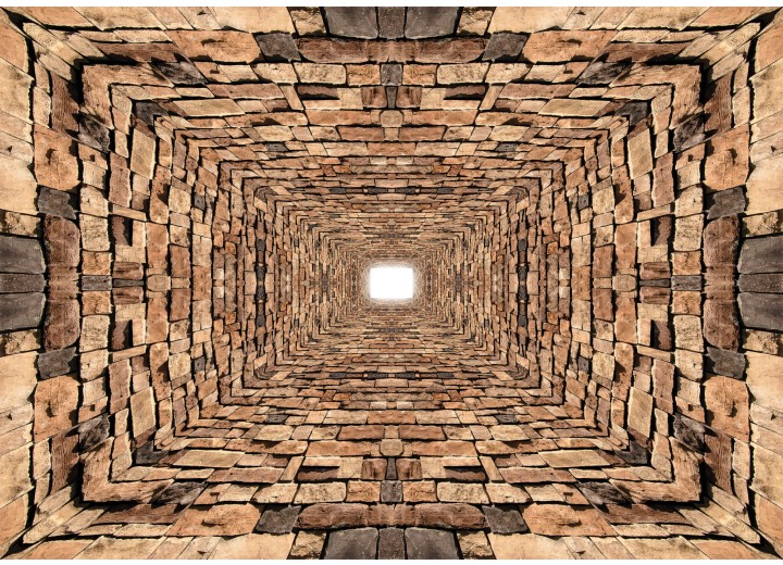 Fotobehang Vlies | 3D, Modern | Bruin | 254x184cm