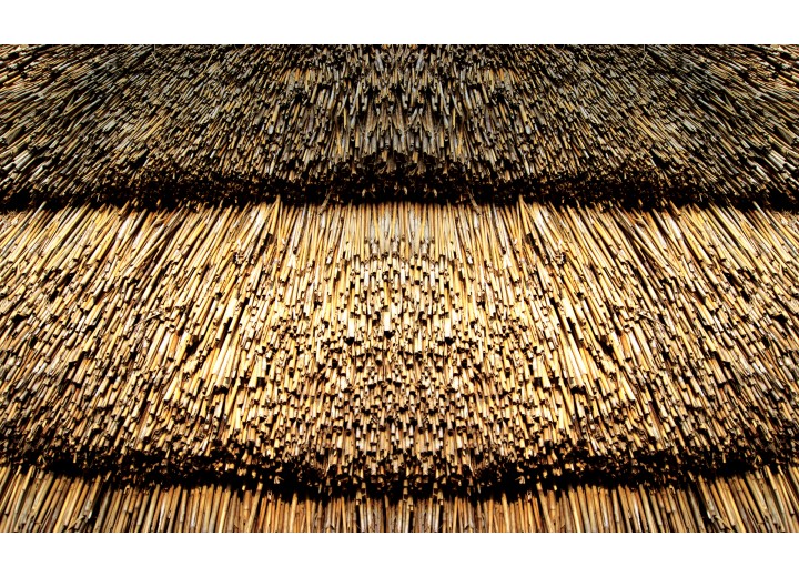 Fotobehang Vlies | Landelijk | Bruin | 254x184cm