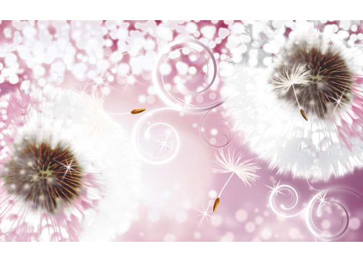 Fotobehang Vlies | Paardenbloem | Roze, Wit | 254x184cm